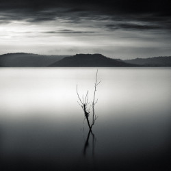 Emmanuel Correia Emergence du lac Galerie Photo-Originale