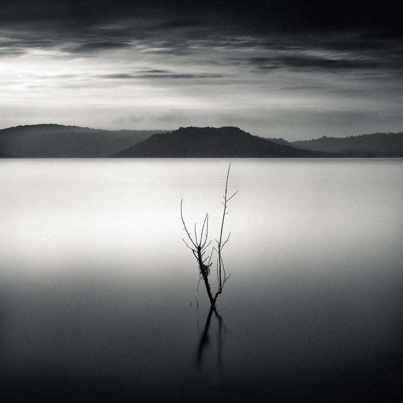 Emmanuel Correia Emergence du lac Galerie Photo-Originale