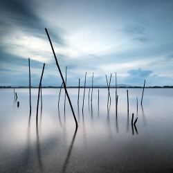 Sarah Martinet - Blue