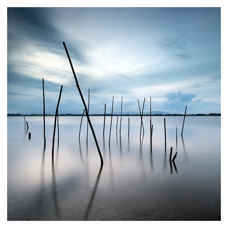 Sarah Martinet - Blue