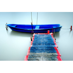 Sarah Martinet - Blue