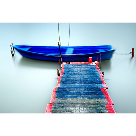 Sarah Martinet - Blue