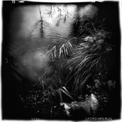 "Balade irlandaise 1"