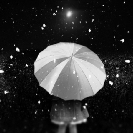 Patrick Gonzales In the night  Galerie Photo-Originale