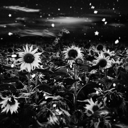 Patrick Gonzales Lost  Galerie Photo-Originale