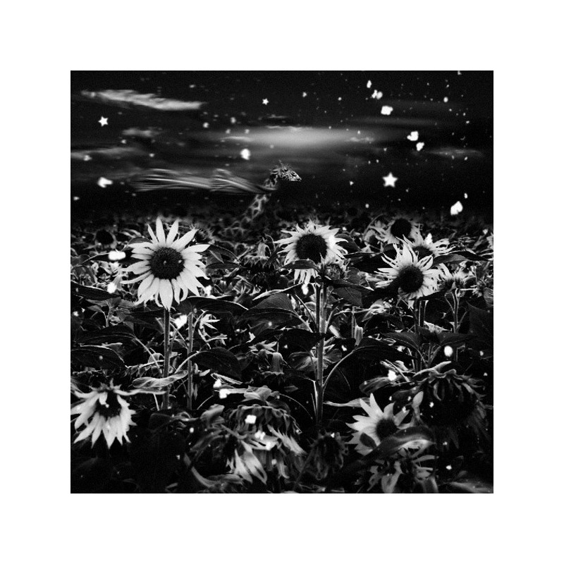 Patrick Gonzales Lost  Galerie Photo-Originale