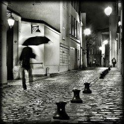 Thibaut Lafaye  Première pluie d'automne  Galerie Photo-Originale