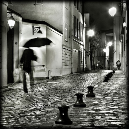 Thibaut Lafaye  Première pluie d'automne  Galerie Photo-Originale