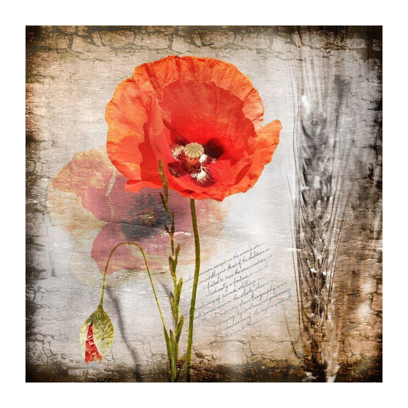 Catherine Fardeau Dites-le avec des fleurs 1