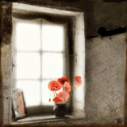 Catherine Fardeau Dites-le avec des fleurs 2