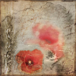 Catherine Fardeau Dites-le avec des fleurs 3