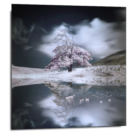 Photo Eric Frey - Cristal Silence