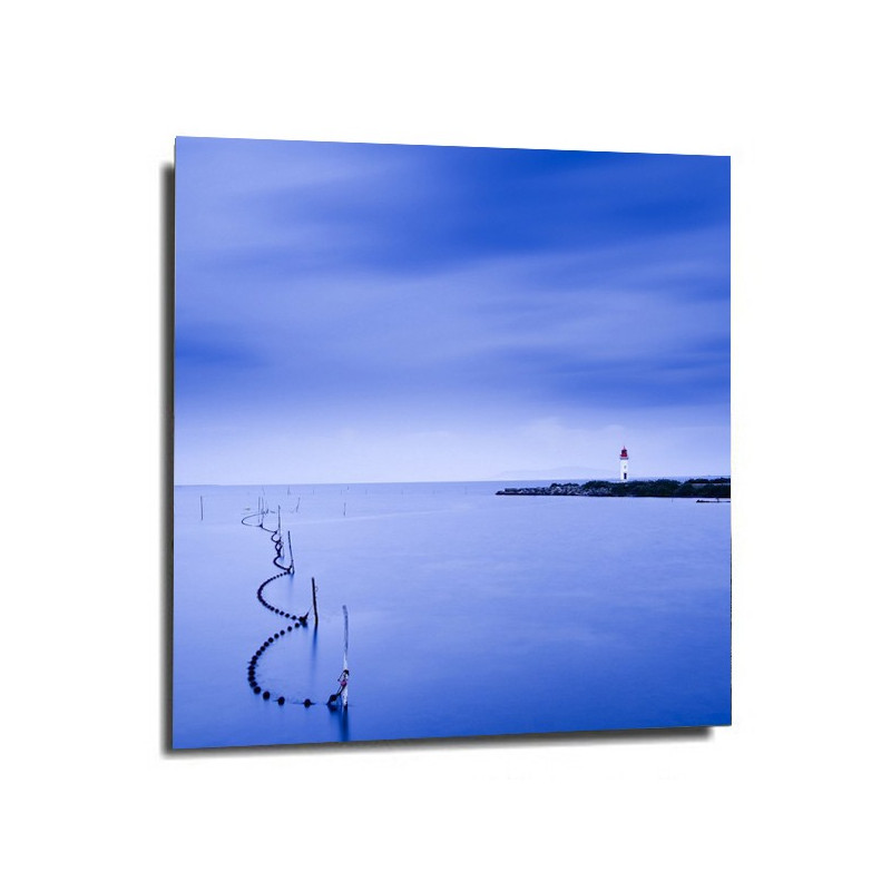 Photo David Villa - Attrape bleu 