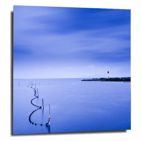 Photo David Villa - Attrape bleu 