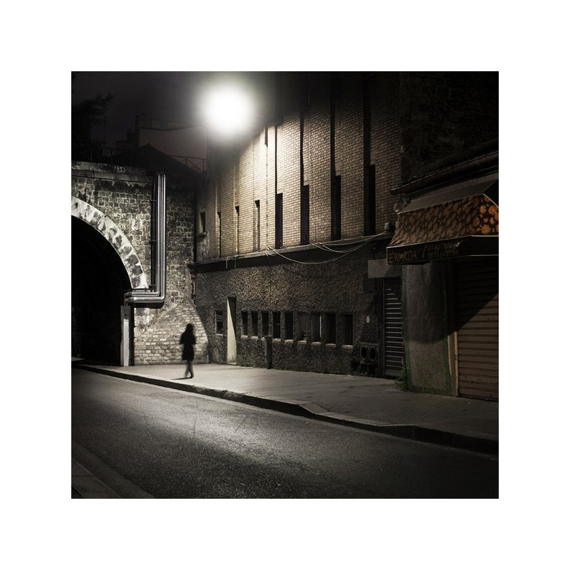 Thibaut Lafaye  Bye bye black bird  Galerie Photo-Originale