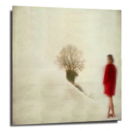 Photo Sarah Louette - Trace d'hiver 4