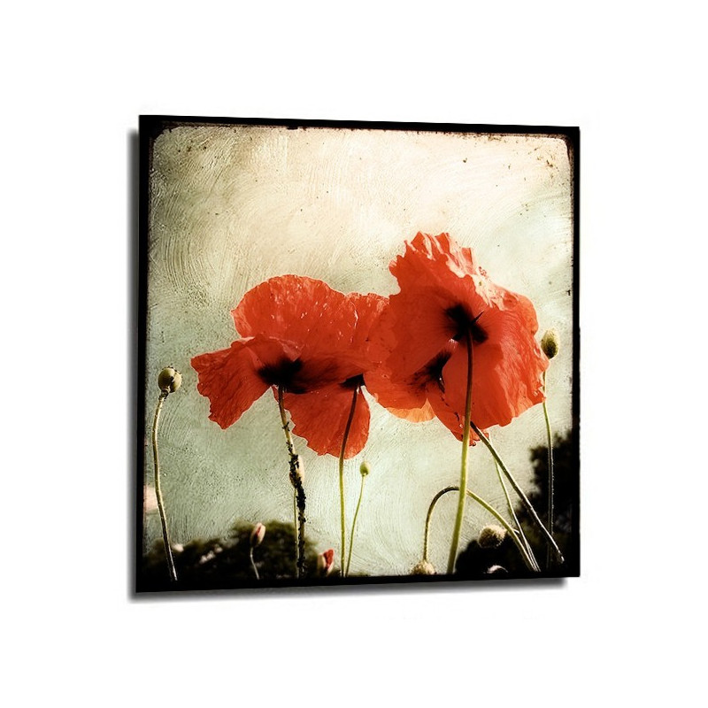 Photo Marc Loret - Deux coquelicots