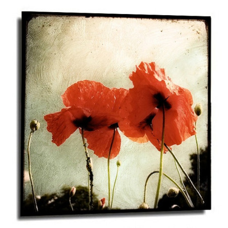 Photo Marc Loret - Deux coquelicots