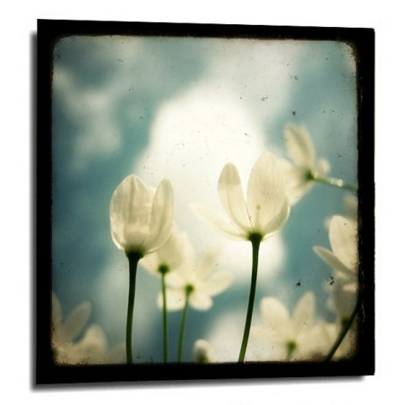 Photo Marc Loret - Sous les nuages 