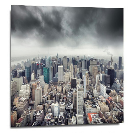 Photo Fabrice Silly - Urban jungle