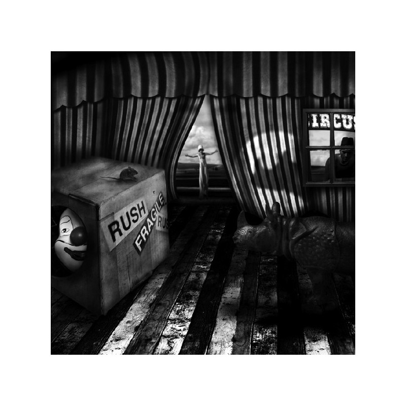 Patrick Gonzales Fragile  Galerie Photo-Originale
