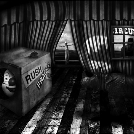 Patrick Gonzales Fragile  Galerie Photo-Originale