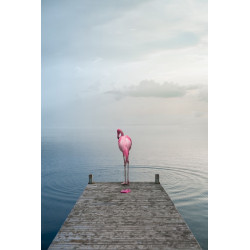 Thomas Subtil Gallery Photo Originale