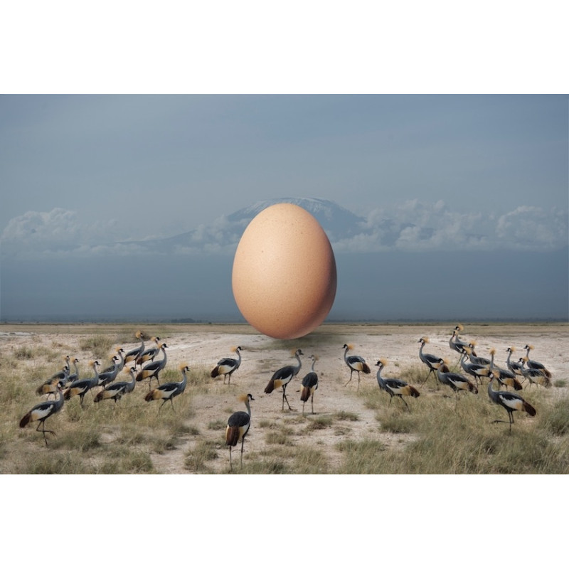Thomas Subtil Galerie Photo Originale