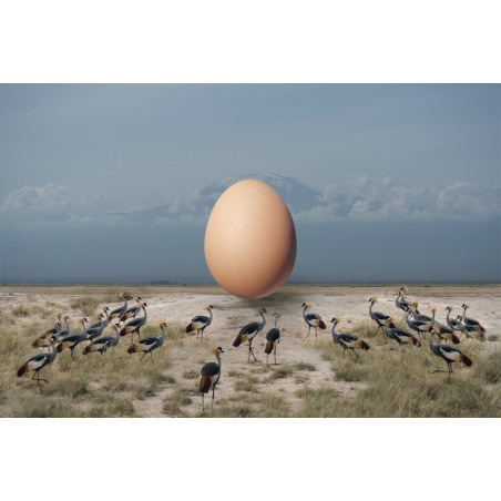 Thomas Subtil Galerie Photo Originale