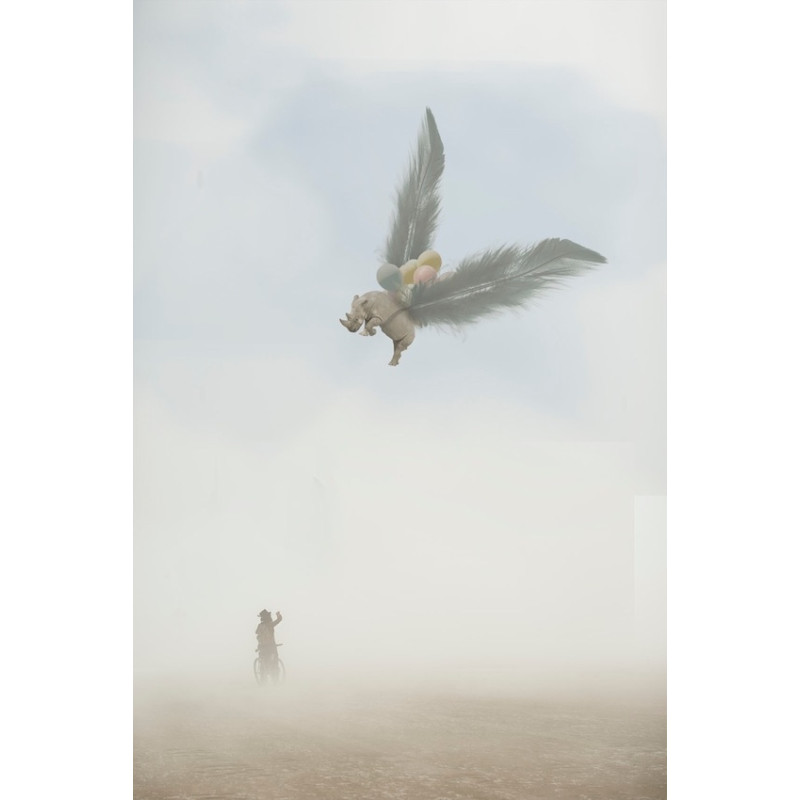 Thomas Subtil Galerie Photo Originale
