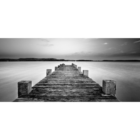 David Villa Destination Galerie Photo-Originale