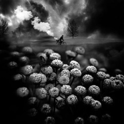 Patrick Gonzales Picking the clouds  Galerie Photo-Originale