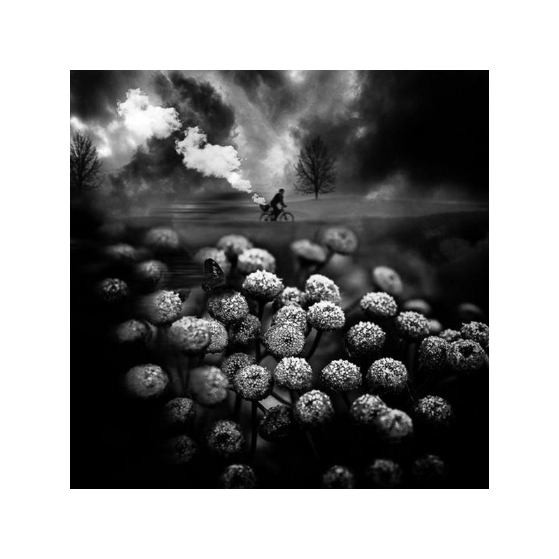 Patrick Gonzales Picking the clouds  Galerie Photo-Originale