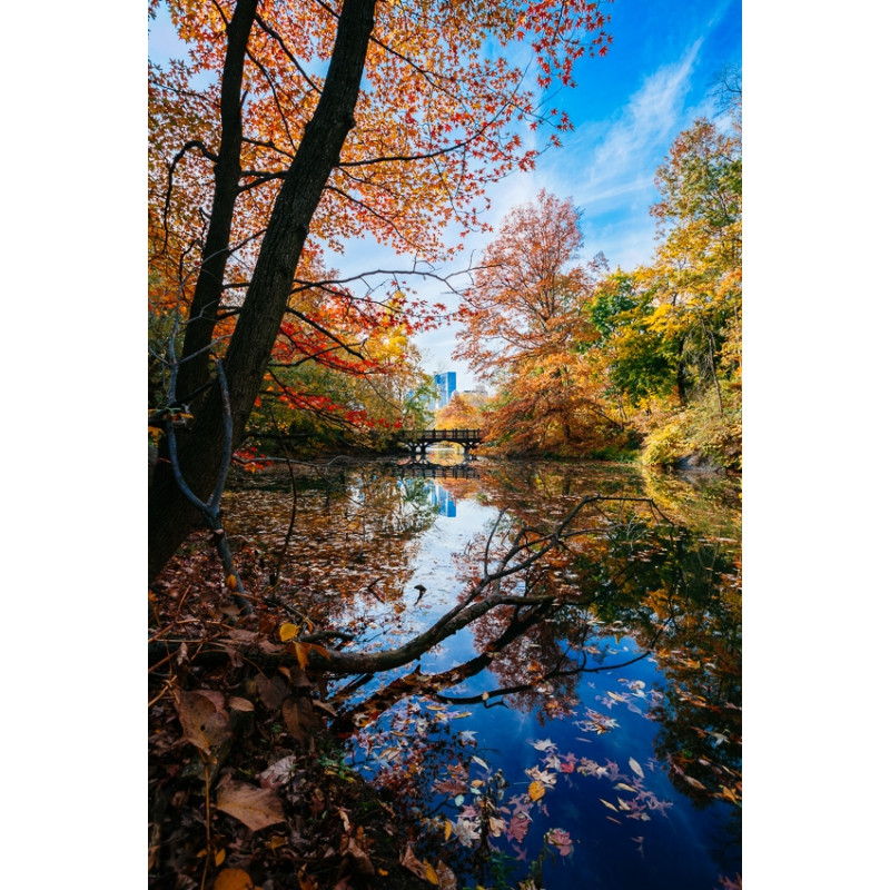 Adrien Le Falher, Mon petit coin prive a Central Park Galerie Photo-Originale