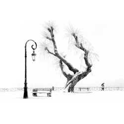 Eric Monvoisin-Mur de neige