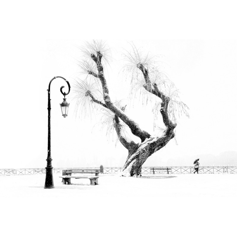 Eric Monvoisin-Mur de neige
