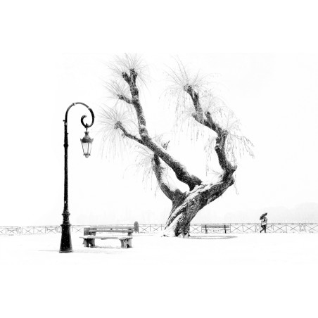 Eric Monvoisin-Mur de neige