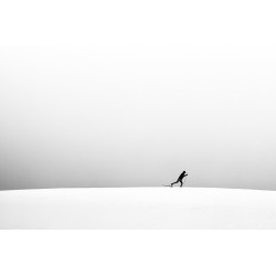 Eric Monvoisin-Blanc silence