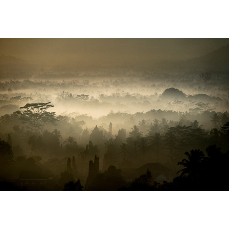 "La berge noire"