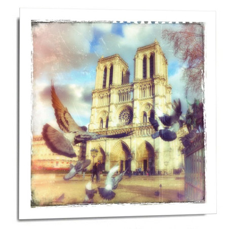 Photo Philippe Lagarde - Pola 05 