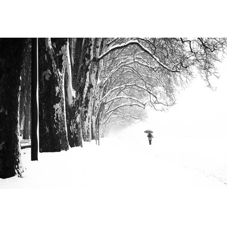 Eric Monvoisin-Un matin d'hiver