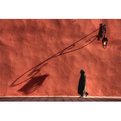 Sébastien Herniote Catching shadow   Galerie Photo-Originale