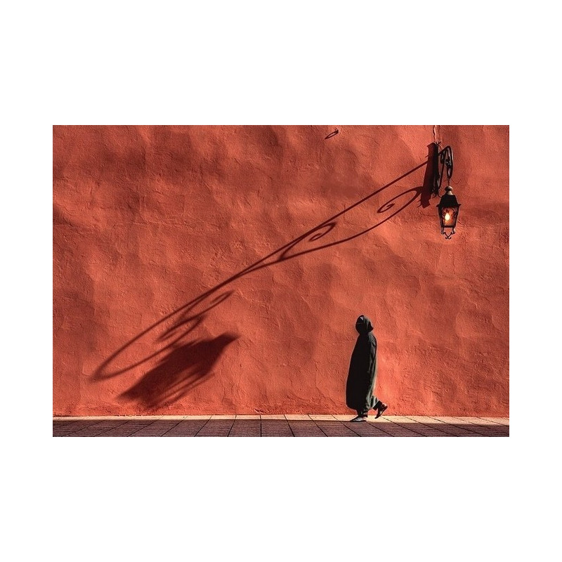 Sébastien Herniote Catching shadow   Galerie Photo-Originale