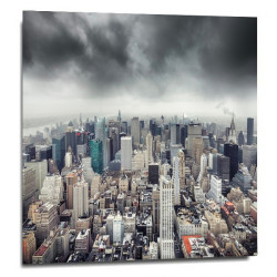"Urban jungle" 2
