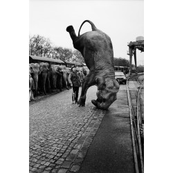 "American Circus 1"