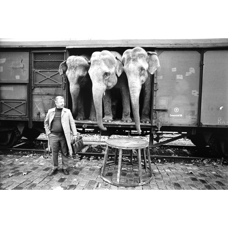 "American Circus 2"