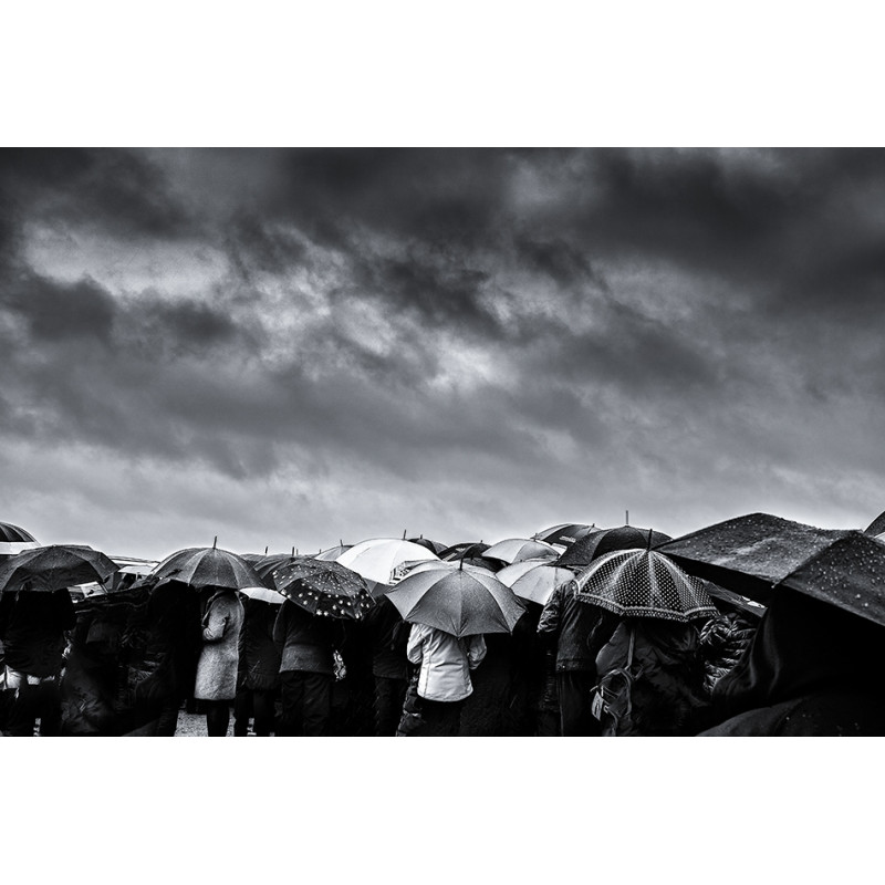 "Les parapluies de Paname"