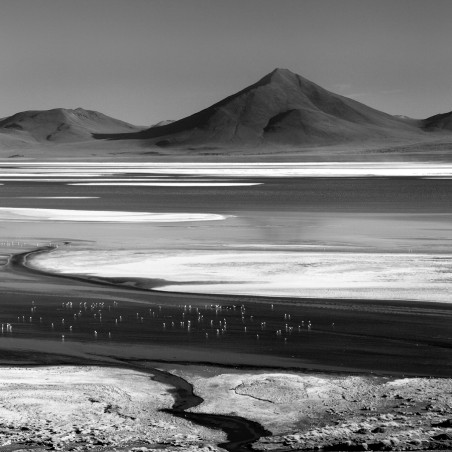 "Laguna-Colorada"