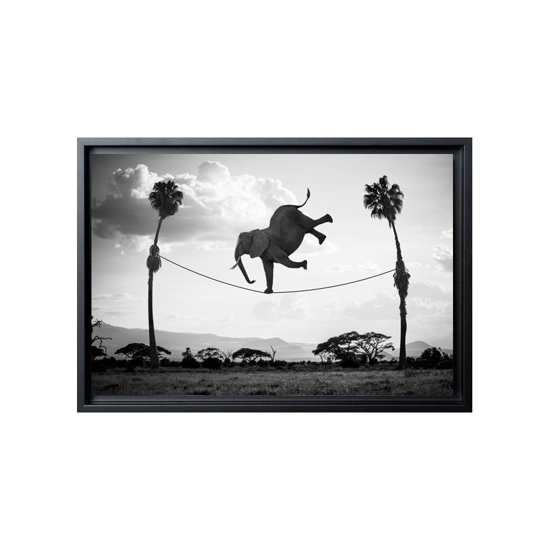 "Hakuna Matata 03 "