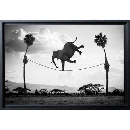 "Hakuna Matata 03 "